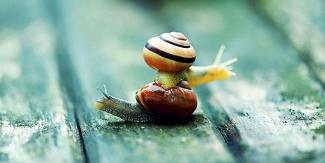 ΚΑΙ ΜΑΖΙ ΚΑΙ ΧΩΡΙΑ. ΓΙΑ ΝΑ ΦΥΓΕΙ Η ΣΤΕΝΑΧΩΡΙΑ ... ΤΗΣ ΑΡΡΩΣΤΙΑΣ