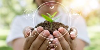 SPIROS DIAMANTIDIS HOMEOPATHY AND ECOLOGY