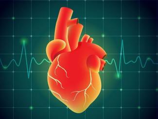 ΚΑΡΔΙΑ ΚΑΙ ΟΜΟΙΟΠΑΘΗΤΙΚΗ