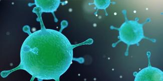 Προηγμένη Ομοιοπαθητική και ανθρώπινο μικροβίωμα, μια δυναμική ισορροπία.