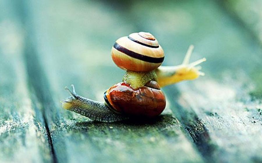 ΚΑΙ ΜΑΖΙ ΚΑΙ ΧΩΡΙΑ. ΓΙΑ ΝΑ ΦΥΓΕΙ Η ΣΤΕΝΑΧΩΡΙΑ ... ΤΗΣ ΑΡΡΩΣΤΙΑΣ