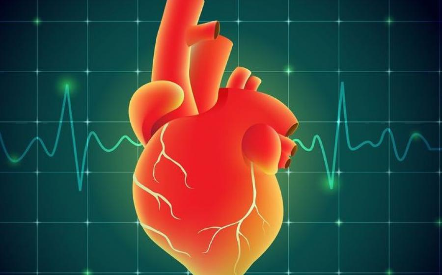 ΚΑΡΔΙΑ ΚΑΙ ΟΜΟΙΟΠΑΘΗΤΙΚΗ