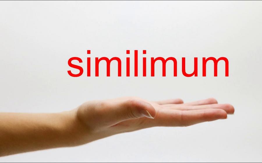 Ο ΝΟΜΟΣ ΤΩΝ ΟΜΟΙΩΝ 2