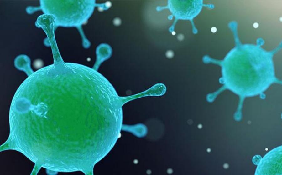 Προηγμένη Ομοιοπαθητική και ανθρώπινο μικροβίωμα, μια δυναμική ισορροπία.