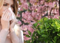 Η συμβολή της Προηγμένης Ομοιοπαθητικής στην αντιμετώπιση της αλλεργικής ρινίτιδας