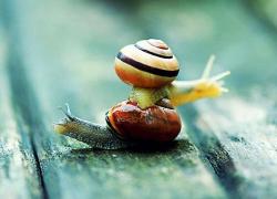 ΚΑΙ ΜΑΖΙ ΚΑΙ ΧΩΡΙΑ. ΓΙΑ ΝΑ ΦΥΓΕΙ Η ΣΤΕΝΑΧΩΡΙΑ ... ΤΗΣ ΑΡΡΩΣΤΙΑΣ