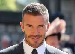 DAVID BECKHAM AND HOMEOPATHY