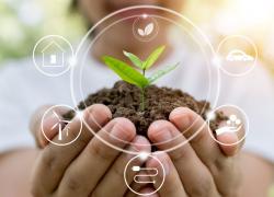 SPIROS DIAMANTIDIS HOMEOPATHY AND ECOLOGY