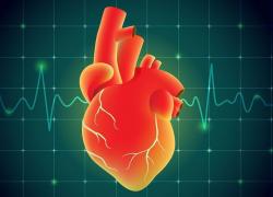 ΚΑΡΔΙΑ ΚΑΙ ΟΜΟΙΟΠΑΘΗΤΙΚΗ