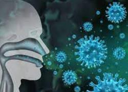 ΛΟΙΜΩΞΗ ΑΠΟ ΙΟΥΣ Ή ΛΟΙΜΩΞΗ ΑΠΟ ΜΙΚΡΟΒΙΑ;