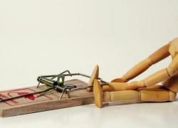 SPIRO DIAMANTIDIS ΒΙΟΑΝΑΔΡΑΣΗ έλεγχος του στρες