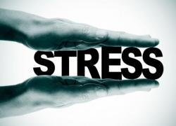 ΤΙ ΓΙΝΕΤΑΙ ΜΕ ΤΗΝ ΑΜΥΝΑ ΟΤΑΝ ΕΧΟΥΜΕ ΣΤΡΕΣ;