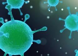 Προηγμένη Ομοιοπαθητική και ανθρώπινο μικροβίωμα, μια δυναμική ισορροπία.